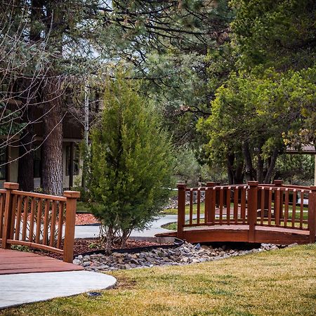 Best Western Pine Springs Inn Ruidoso Downs Eksteriør bilde