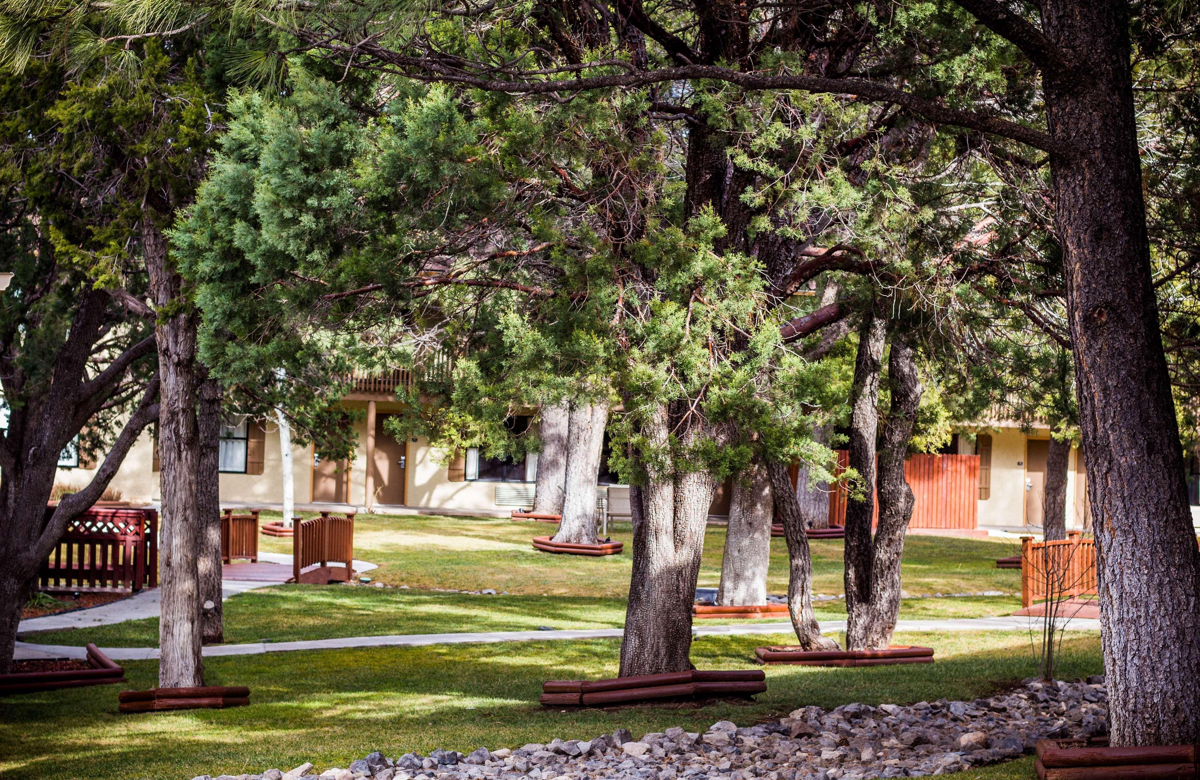 Best Western Pine Springs Inn Ruidoso Downs Eksteriør bilde