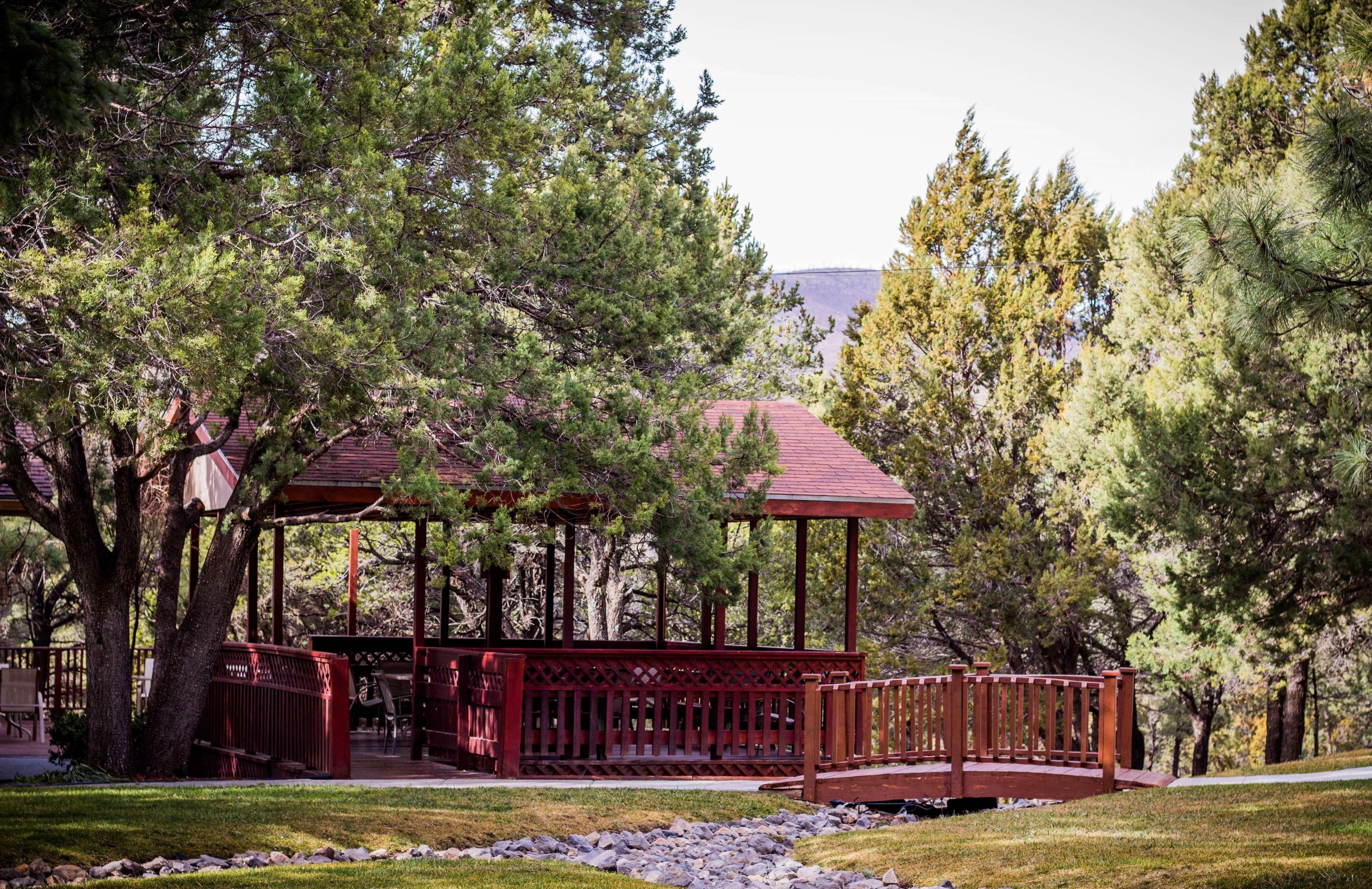 Best Western Pine Springs Inn Ruidoso Downs Eksteriør bilde